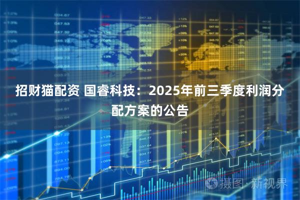 招财猫配资 国睿科技：2025年前三季度利润分配方案的公告