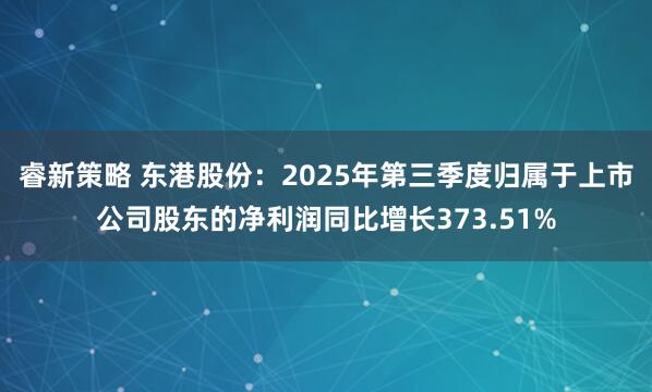睿新策略 东港股份：2025年第三季度归属于上市公司股东的净利润同比增长373.51%