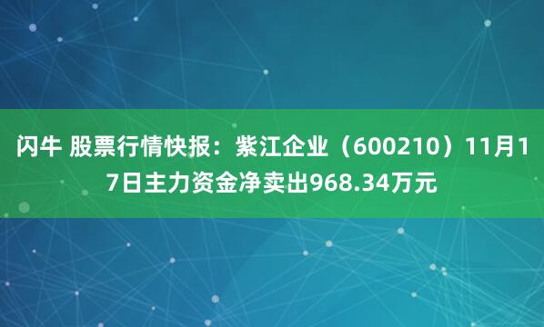 闪牛 股票行情快报：紫江企业（600210）11月17日主力资金净卖出968.34万元