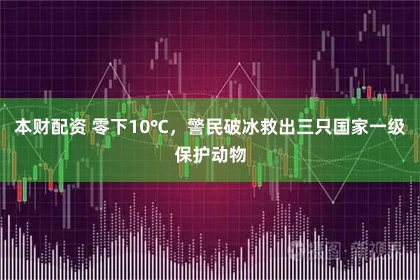 本财配资 零下10℃，警民破冰救出三只国家一级保护动物