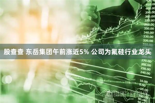 股查查 东岳集团午前涨近5% 公司为氟硅行业龙头